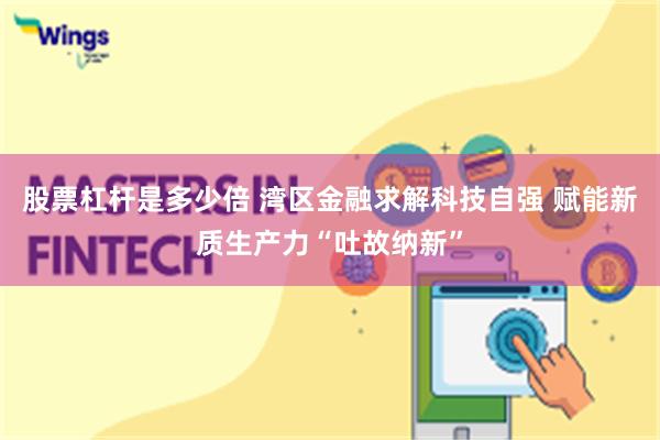 股票杠杆是多少倍 湾区金融求解科技自强 赋能新质生产力“吐故纳新”