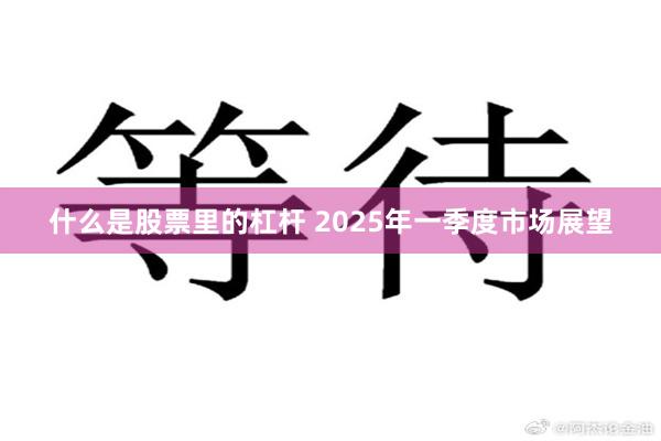 什么是股票里的杠杆 2025年一季度市场展望