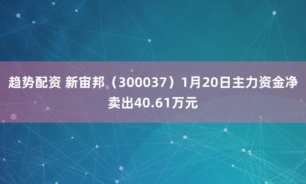 趋势配资 新宙邦（300037）1月20日主力资金净卖出40.61万元