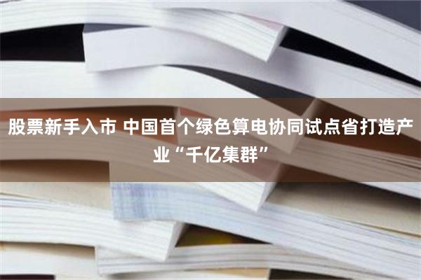 股票新手入市 中国首个绿色算电协同试点省打造产业“千亿集群”