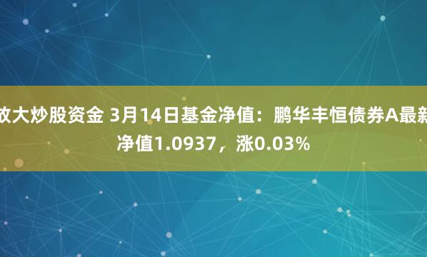 放大炒股资金 3月14日基金净值：鹏华丰恒债券A最新净值1.0937，涨0.03%